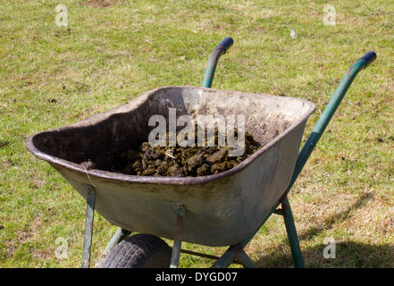 Vecchio e ruota usurata barrow in appoggio sull'erba contenente letame equino Foto Stock