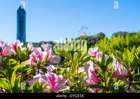 Higashiyama Sky Tower e fiori, nella prefettura di Aichi, Giappone Foto Stock