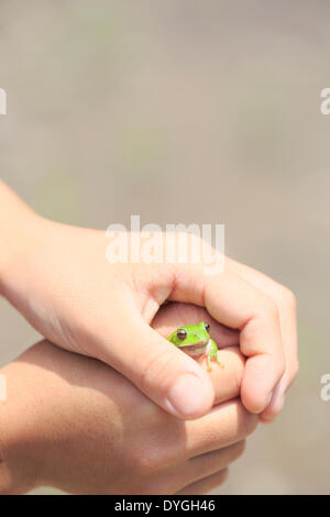 Ragazzo giapponese con frog Foto Stock