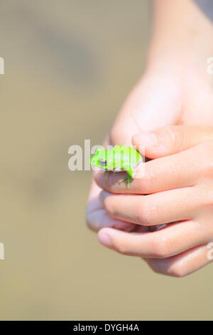 Ragazzo giapponese con frog Foto Stock