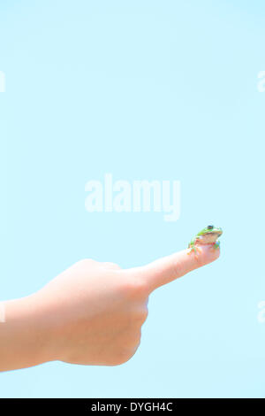 Ragazzo giapponese con frog Foto Stock