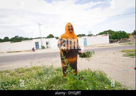 La TUNISIA, KASSERINE: la vita nei villaggi intorno a Kasserine è tradizionale, rurali e spesso scadente anche senza acqua corrente. Foto Stock