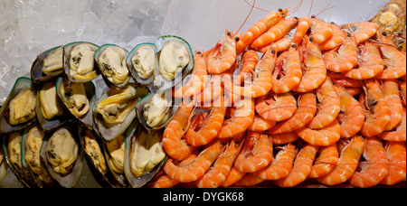 Viva fresca di cozze e gamberi freschi sul ghiaccio nel ristorante a buffet Foto Stock
