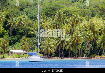 Scena tropicale di barca a vela ancorata di fronte palme e casa in Polinesia francese Foto Stock