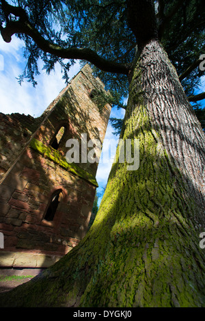 I motivi di Acton Burnell Castello, fortificato del XIII secolo Manor House, vicino a Acton Burnell, Shropshire, Inghilterra. Foto Stock