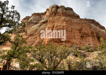 Un bluff di arenaria Entrada vicino alla bocca di Devil's Canyon in Mesa County, Colorado Foto Stock