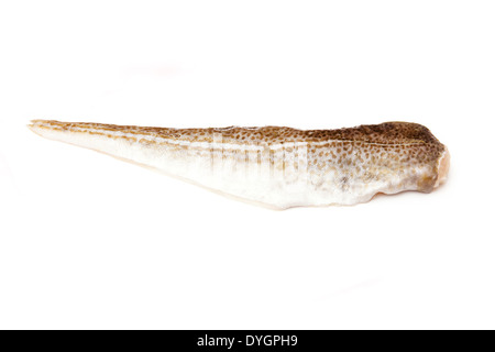 Atlantico filetto di merluzzo bianco isolato su un bianco di sfondo per studio. Foto Stock