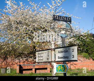 Primavera sbocciano i fiori sugli alberi e cartello stradale nel villaggio di Hollesley, Suffolk, Inghilterra Foto Stock