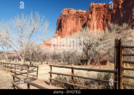 Il bluff di arenaria e frutteti in inverno, storico fruita, Capitol Reef National Park nello Utah Stati Uniti d'America Foto Stock