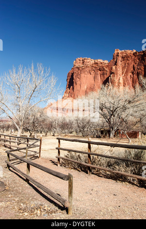 Il bluff di arenaria e frutteti in inverno, storico fruita, Capitol Reef National Park nello Utah Stati Uniti d'America Foto Stock