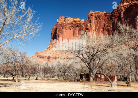 Il bluff di arenaria e frutteti in inverno, storico fruita, Capitol Reef National Park nello Utah Stati Uniti d'America Foto Stock