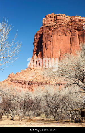 Il bluff di arenaria e frutteti in inverno, storico fruita, Capitol Reef National Park nello Utah Stati Uniti d'America Foto Stock