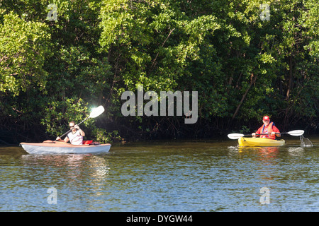 Giovane donna e uomo maturo canoa kayak con Mangrove Mangal Sfondo, Florida Foto Stock