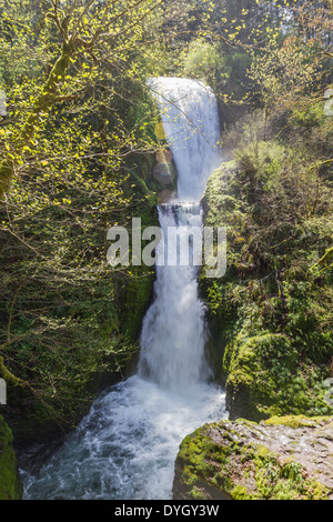 Bridal Veil Falls si trova in Columbia Gorge in Oregon, girato in primavera Foto Stock