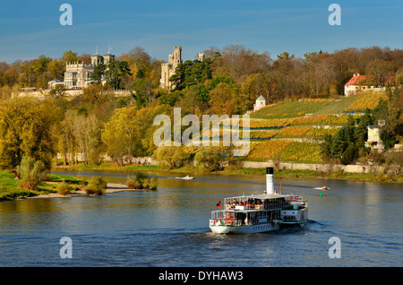 Dresdener Elbschlösser und Dinglingers Weinberg Foto Stock