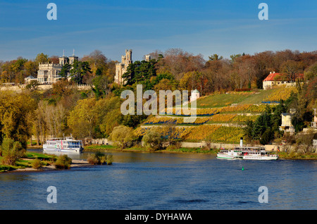 Dresdener Elbschlösser und Dinglingers Weinberg Foto Stock