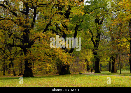 Dresda. Herbst im Großer Garten Foto Stock