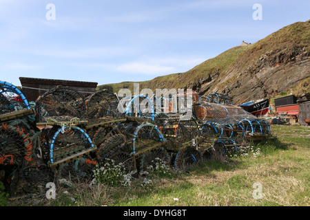 La pesca cantre presso il pittoresco porto di Cove Bay, città di Aberdeen, Scozia, Regno Unito Foto Stock