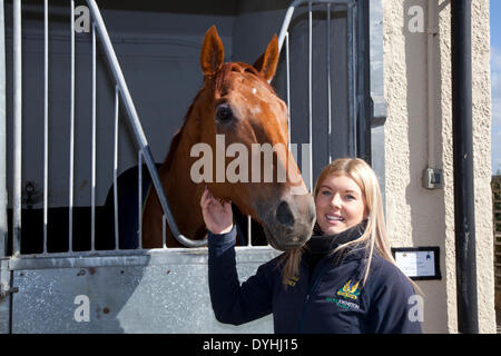 Middleham, nello Yorkshire, Regno Unito. Il 18 aprile 2014. Laura Jones con 'Sky Treno' a nord Dales maneggio aperto giorno.Il maneggio Middleham Open Day è andato avanti nonostante racing essendo permesso il Venerdì Santo per la prima volta. Il suo futuro era stata minacciata con racing impostata per essere messa in scena a Musselburgh e a Lingfield. Ma dopo di Betfair ha continuato come sponsor e il Middleham Trainers Association ha deciso "all'unanimità" per continuare i due decenni di tradizione. Credito: Mar fotografico/Alamy Live News Foto Stock