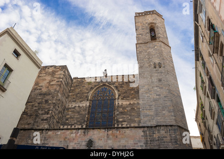 Barcellona: la Cattedrale gotica di Santa Eulalia nel Barri Gotic District (quartiere gotico). Barcellona, in Catalogna, Spagna Foto Stock