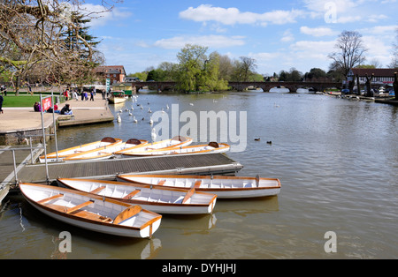 Stratford upon Avon - Fiume Avon - Vista di Clopton Bridge - noleggio imbarcazioni a remi - swans - persone a piedi - sole primaverile Foto Stock