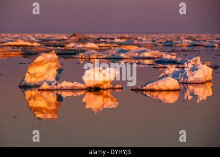 Canada, Nunavut Territorio, impostazione del sole di mezzanotte di fusione delle luci di mare di ghiaccio in acqua ancora lungo lo stretto di congelato sulla serata estiva Foto Stock