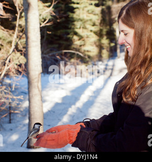 Un wild Black-capped Luisa (Poecile atricapillus) si alimenta dalle mani di una bella bruna ragazza in Edmonton, Canada. Foto Stock