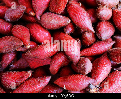 Frutta del serpente Foto Stock