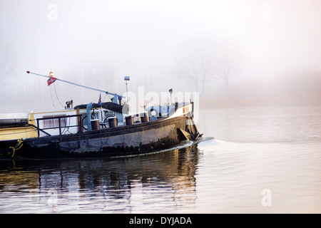 Anca, con nebbia sul fiume Elba in Kirchwerder, Amburgo, Germania Foto Stock