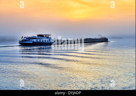 Anca, con nebbia sul fiume Elba in Kirchwerder, Amburgo, Germania Foto Stock