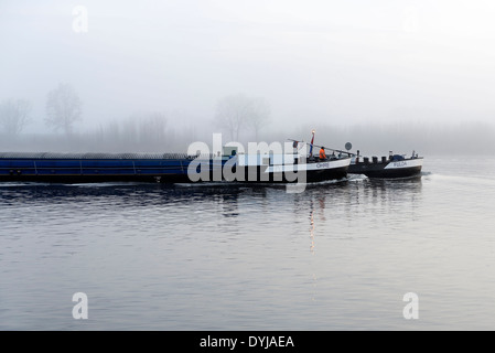 Anca, con nebbia sul fiume Elba in Kirchwerder, Amburgo, Germania Foto Stock