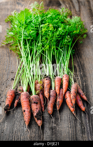 Mazzetto di orange carote fresche dal giardino con sporco sul vecchio legno rustico sfondo Foto Stock