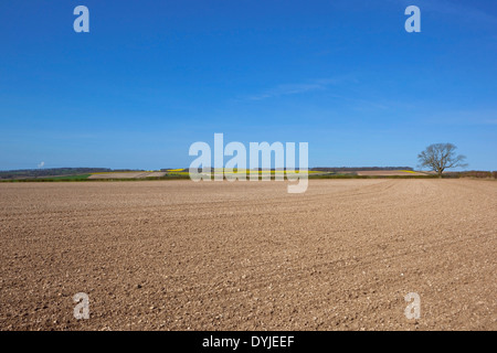 I modelli e le texture del gesso coltivati terreni arabili su Yorkshire wolds sotto un cielo blu in primavera. Foto Stock