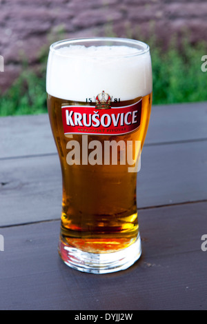 Un appena spillata pinta di birra ceca vetro, Krusovice Repubblica Ceca Foto Stock