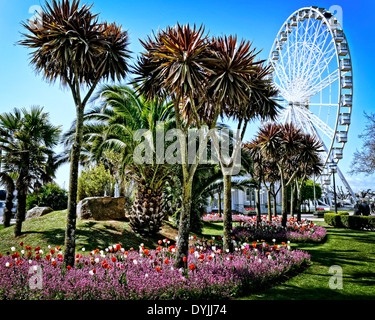 GB - DEVON: Torquay Promenade & Riviera Inglese ruota Foto Stock
