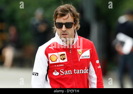 Shanghai, Cina. Xx Apr, 2014. Motorsports: FIA Formula One World Championship 2014, il Gran Premio di Cina, #14 Fernando Alonso (ESP, la Scuderia Ferrari), Credit: dpa picture alliance/Alamy Live News Foto Stock