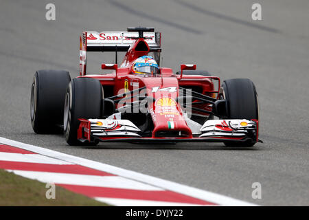 Shanghai, Cina. Xx Apr, 2014. Motorsports: FIA Formula One World Championship 2014, il Gran Premio di Cina, #14 Fernando Alonso (ESP, la Scuderia Ferrari), Credit: dpa picture alliance/Alamy Live News Foto Stock