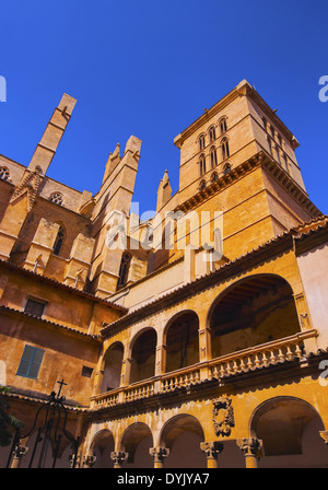 Patio interno della cattedrale di Palma di Maiorca, isole Baleari, Spagna Foto Stock