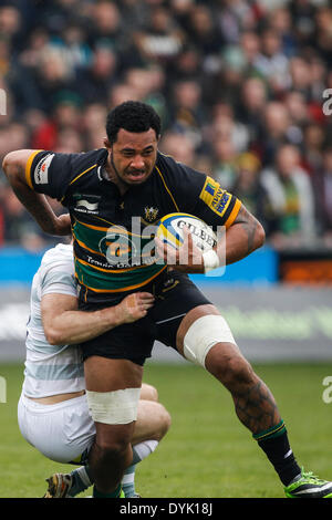 Northampton, Regno Unito. Xx Apr, 2014. Samu MANOA di Northampton santi è affrontato durante la Aviva Premiership match tra Northampton santi e London Irish a Franklin's Gardens. Punteggio finale: Northampton Santi 36-21 London Irish. Credito: Azione Sport Plus/Alamy Live News Foto Stock