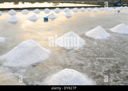 Agriturismo Salina in Samut Sakhon, Thailandia Foto Stock