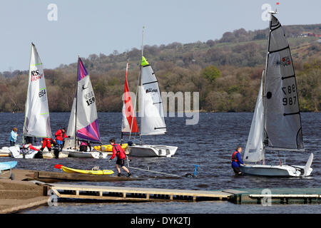 Clyde Muirshiel Regional Park, Lochwinnoch, Renfrewshire, Scozia, Regno Unito, Domenica 20 aprile 2014. I membri del Club di vela Castle Semple si preparano a correre sul Castello Semple Loch al sole di Pasqua e al clima mite Foto Stock