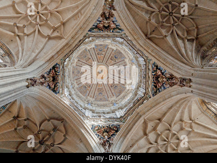 Vista guardando verso l'alto sull'altamente decorato la cupola del Duomo Nuovo, nella città di Salamanca, Castilla y León, Spagna. Foto Stock