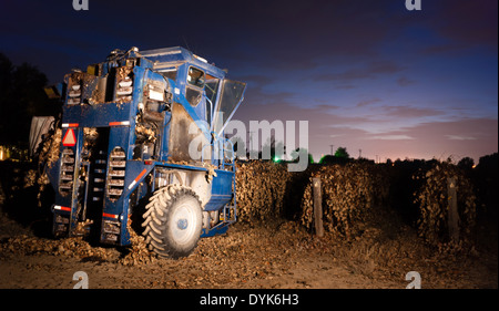 Una grande macchina per mietitura allineati pronti per la raccolta di uva matura dopo un inizio di congelamento Foto Stock