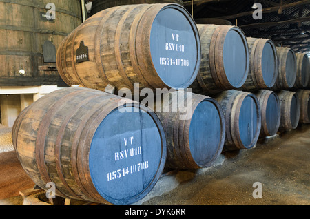 I barili di legno utilizzato per la porta di invecchiamento del vino di Porto, Portogallo Foto Stock