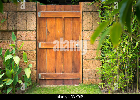Vista ravvicinata di dettagli casa. Vecchio anteriore porta in legno fatto di schede con serratura e parte di indossato grungy parete con copertura verde. Foto Stock