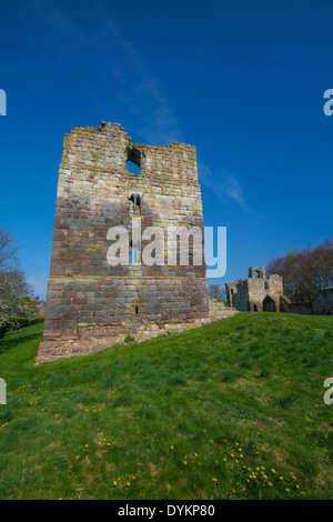 Castello ed altri Foto Stock