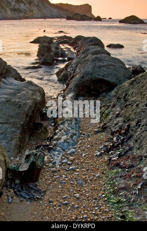 Alba luce sull'uomo o di guerra sulla baia del Dorset Jurassic costa, con la bassa marea e rocce esposte si distende nell'alloggiamento. Foto Stock