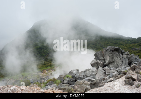 In fumo Owakudani, Hakone, nella prefettura di Kanagawa, Giappone Foto Stock