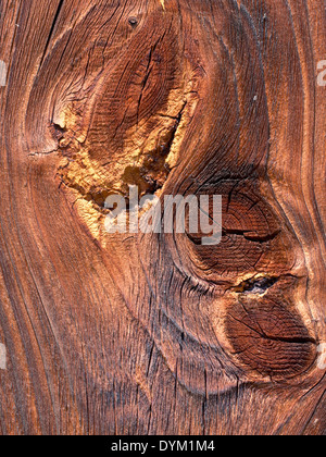 Old plank con legno di nodi e incrinato, layered superficie ruvida Foto Stock