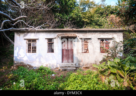 Casa abbandonata con alberi sovradimensionate, Hong Hong Foto Stock